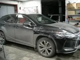 LEXUS RX300 2020 PANDORA